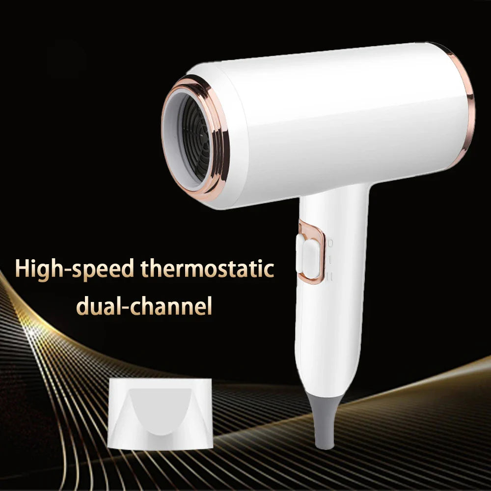 F33 T821 Professional Hair Dryer Hot Cold Wind Air Brush Hairdryer Negative Lonic Blow Dryer Strong PowerDryer Salon Tool 2400W